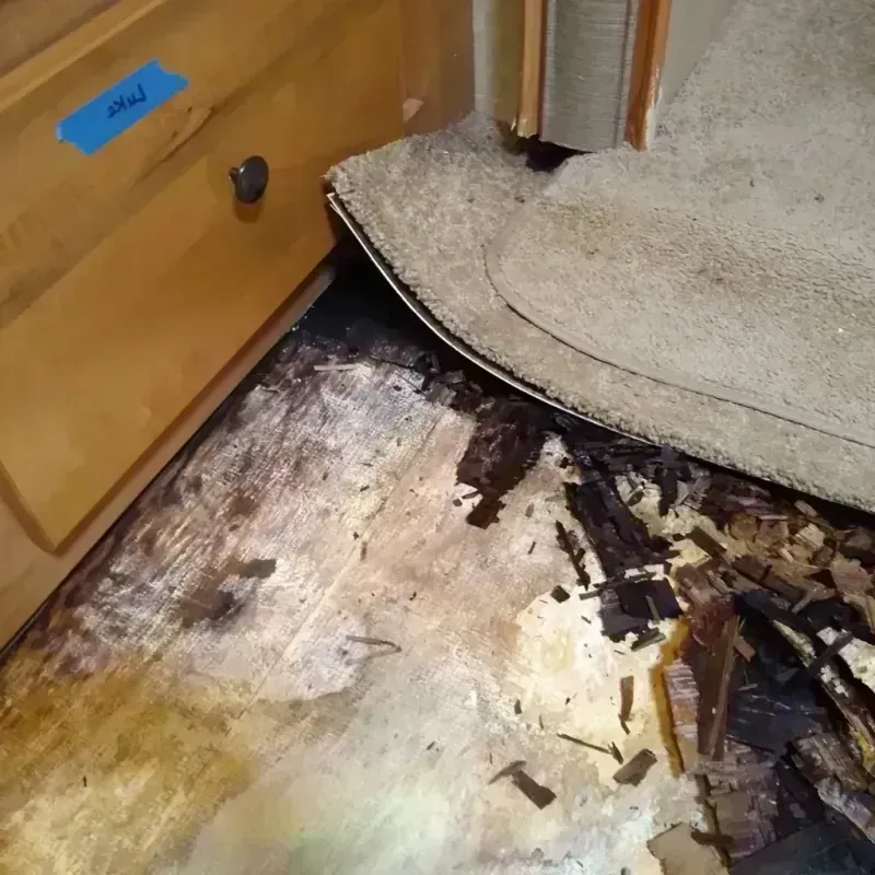 Wood Floor Water Damage in Sierra County, CA